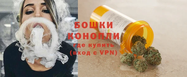 индика Балахна