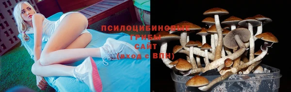 герыч Аркадак