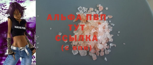 индика Балахна